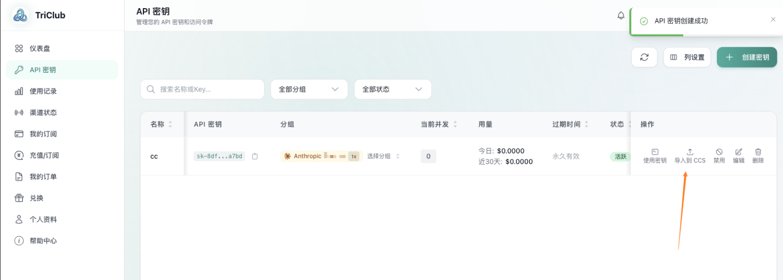 导入到 CCS