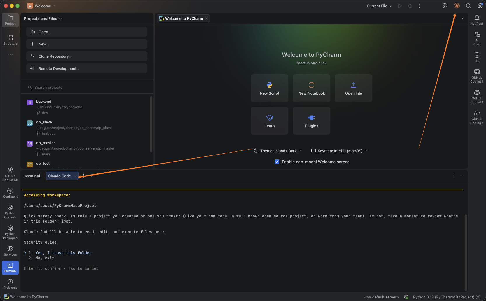 JetBrains 中使用